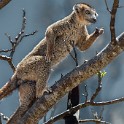 Madagascar 643 copia 1